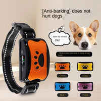 Pet Supplies